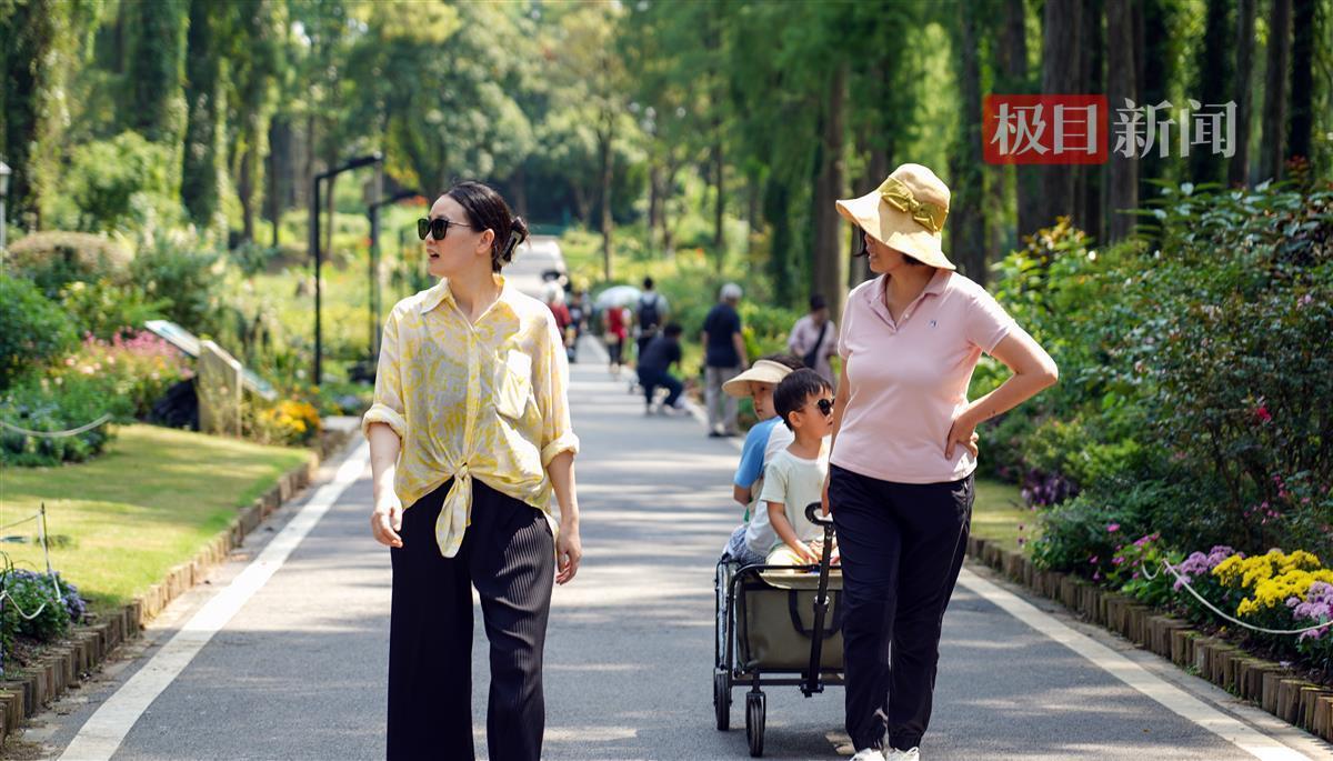 菲律宾盈城集团